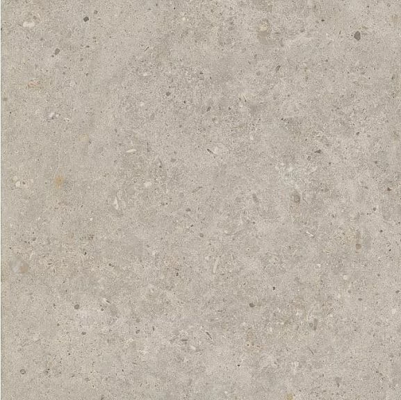 Керамогранит Kerama Marazzi Риккарди 60*60 бежевый матовый